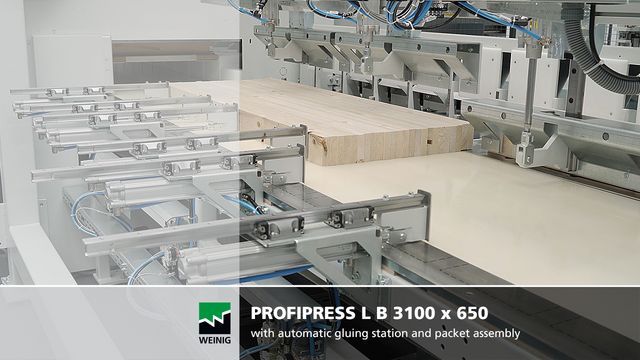 Weinig ProfiPress L B gluing press Ligna 2019 Video